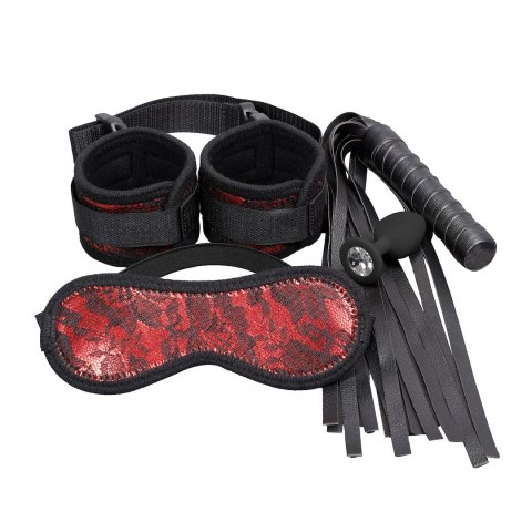 ZESTAW BDSM 4 PRODUKTÓW EROSPACE WILD PLAY C7