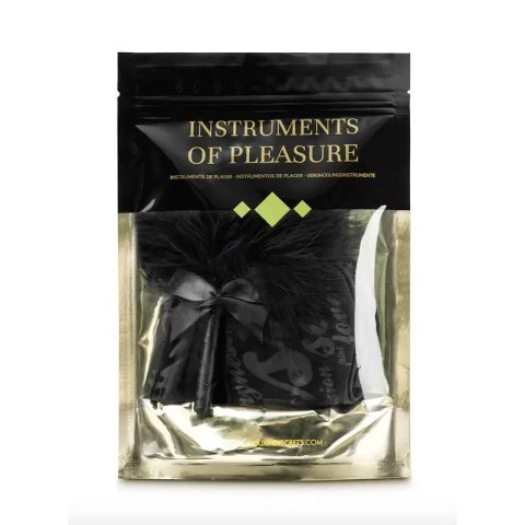ZESTAW BDSM BIJOUX INSTRUMENTS OF PLEASURE - PURPLE