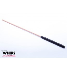 Trzcinka Bukowa Whips