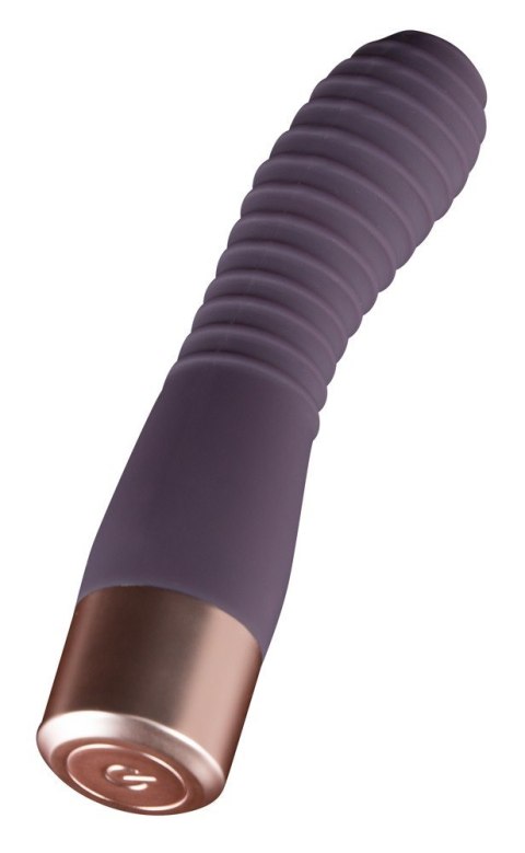 ELEGANT VIBRATOR FLEXY VIBE
