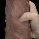 DILDO 10.5'' DUAL LAYERED SILICONE COCK XXL