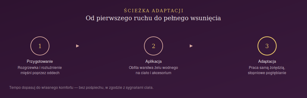 Ścieżka adaptacji organizmu podczas użycia gigantycznego dildo