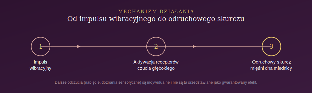 Mechanizm działania mikrowibracji w wibracyjnych kulkach gejszy